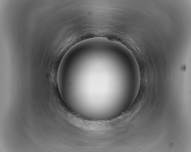 X0000090990044200708091528