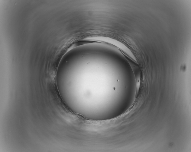 X0000090990045200708091528