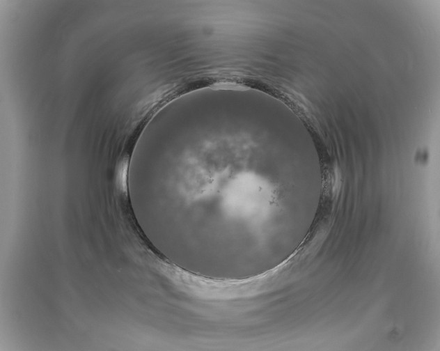 X0000090990047200708091528