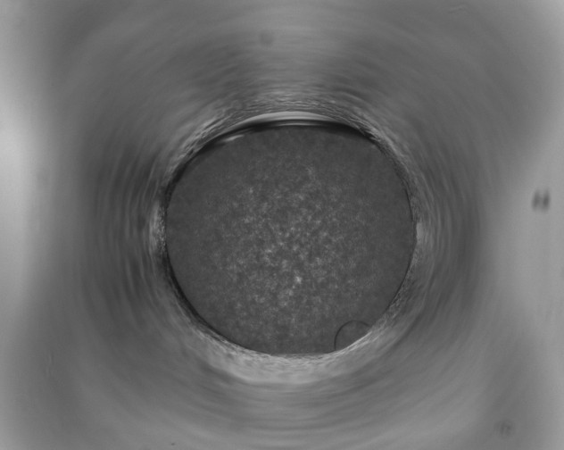 X0000090990048200708091528