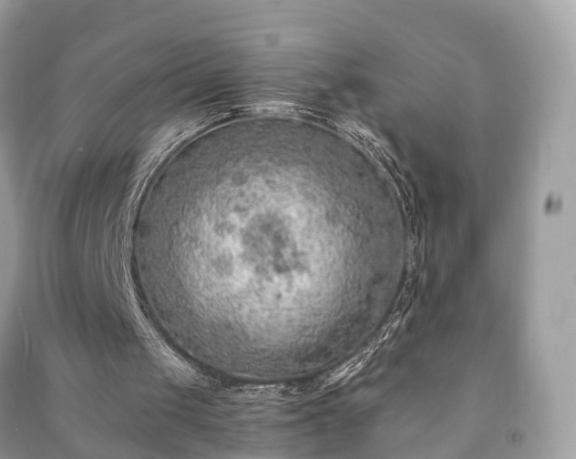 X0000090990049200708091527