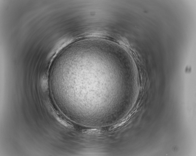 X0000090990050200708091527