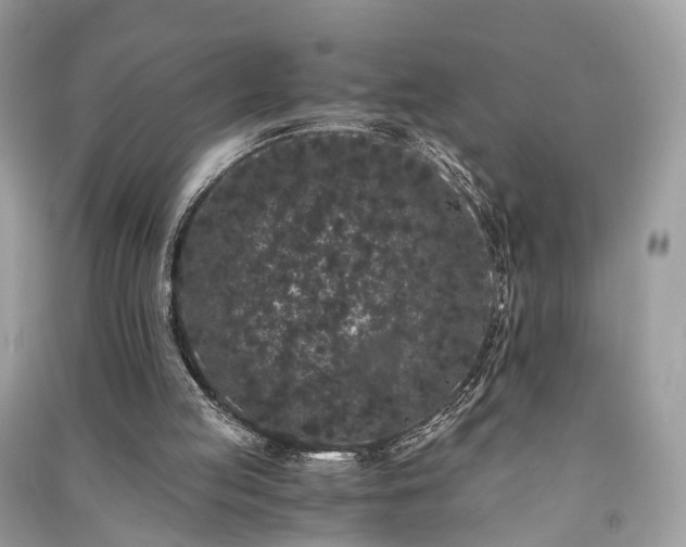 X0000090990053200708091527