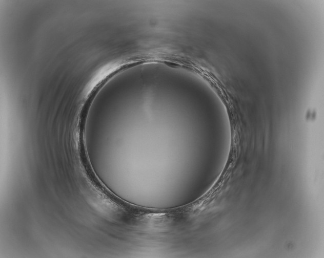 X0000090990054200708091527