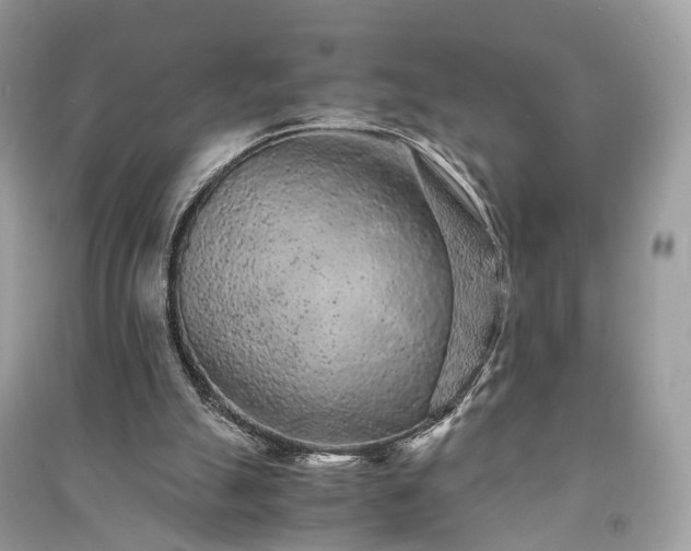 X0000090990055200708091527