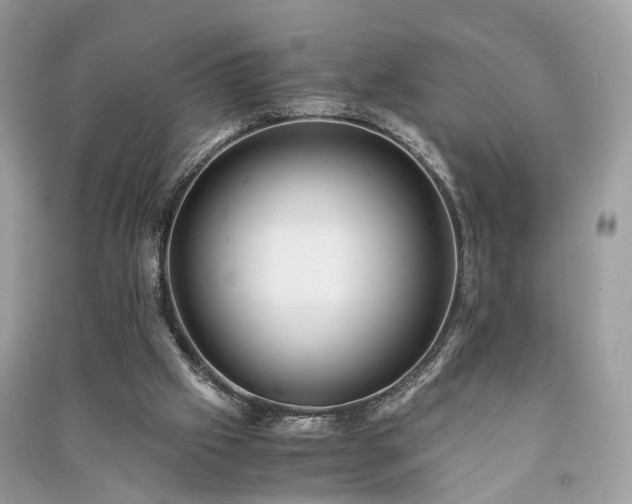 X0000090990057200708091527