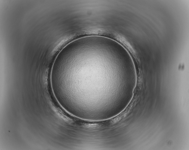 X0000090990058200708091527