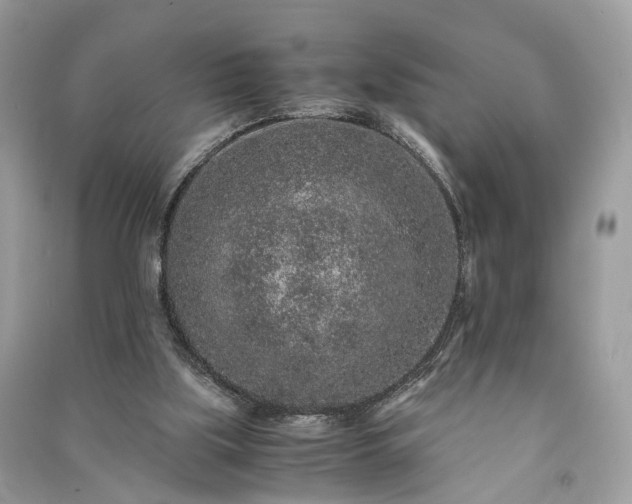 X0000090990059200708091527