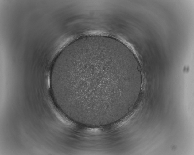 X0000090990061200708091527