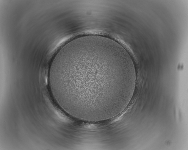 X0000090990062200708091527