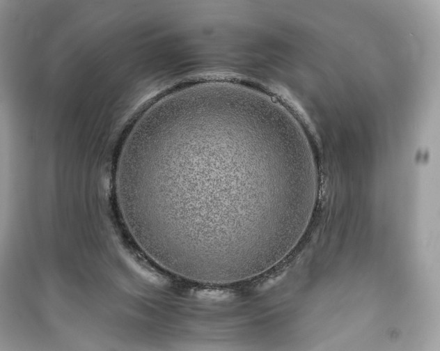 X0000090990063200708091527