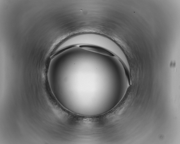 X0000090990064200708091527