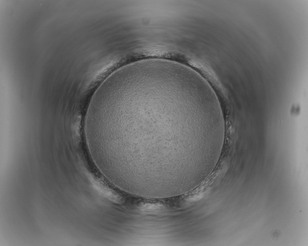 X0000090990066200708091527