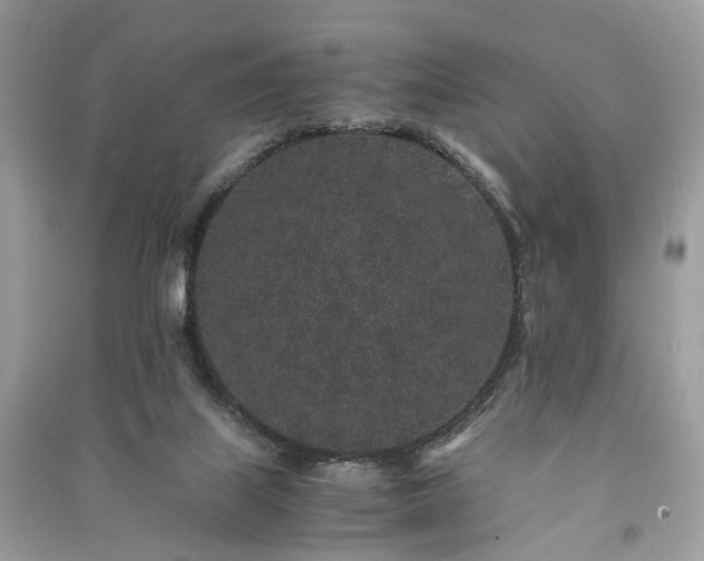 X0000090990067200708091527