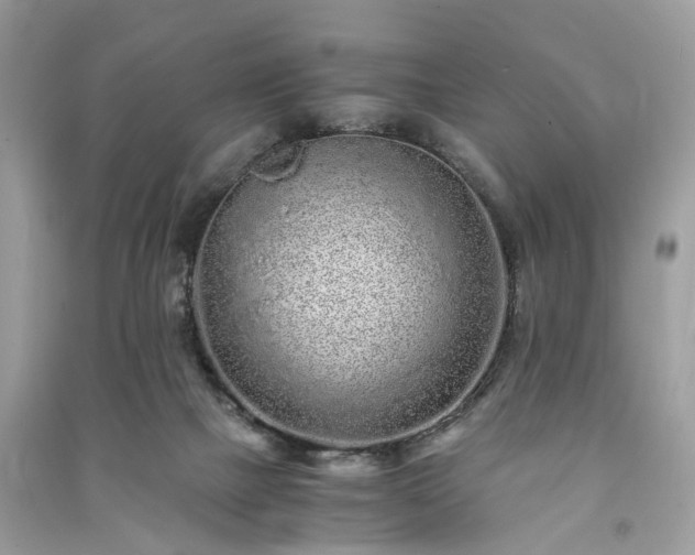 X0000090990073200708091527