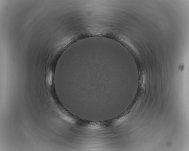 X0000090990076200708091527