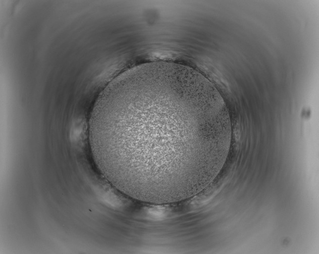 X0000090990079200708091528