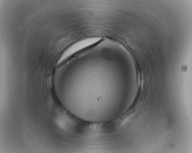 X0000090990080200708091528