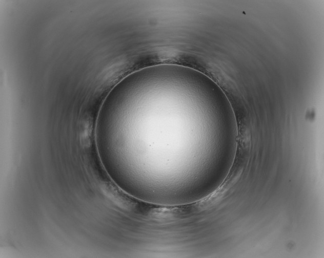 X0000090990082200708091528