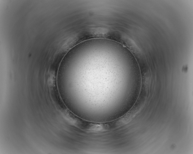 X0000090990083200708091528