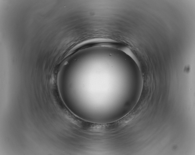 X0000090990084200708091528