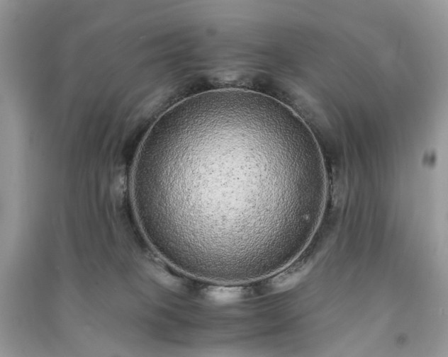 X0000090990085200708091528