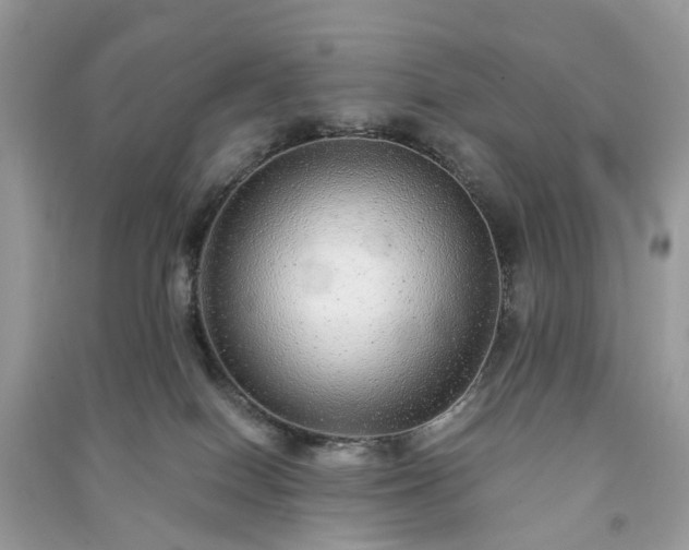 X0000090990086200708091528