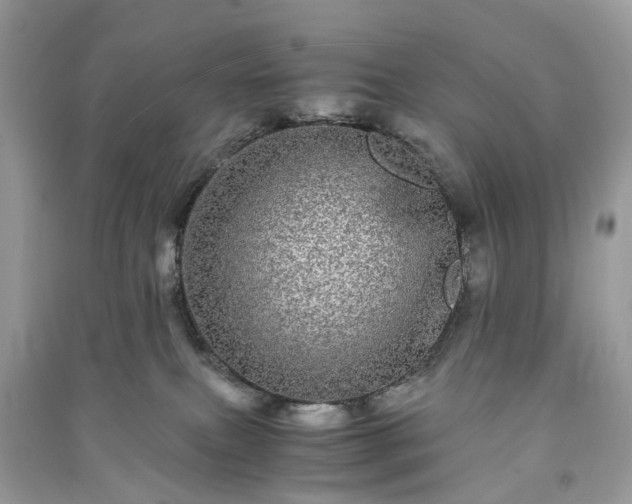 X0000090990087200708091528