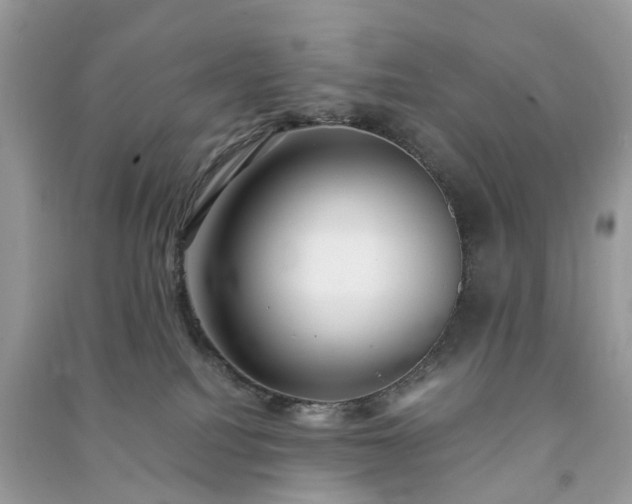 X0000090990088200708091528