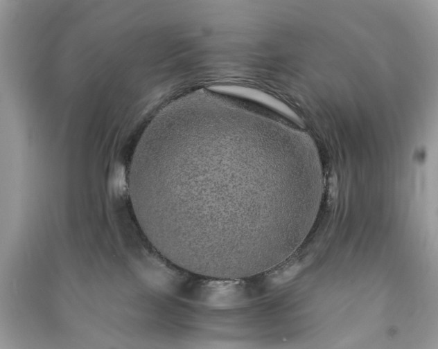 X0000090990089200708091528