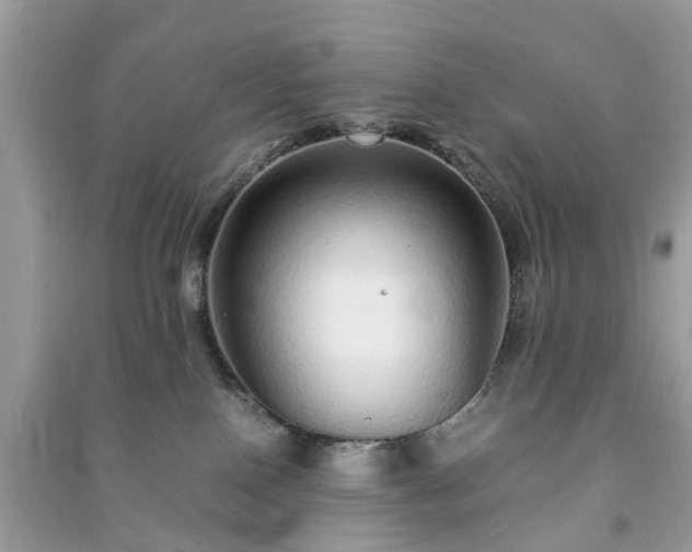 X0000090990090200708091528