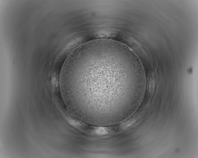 X0000090990091200708091528