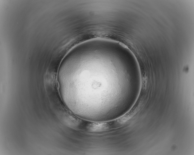 X0000090990093200708091528