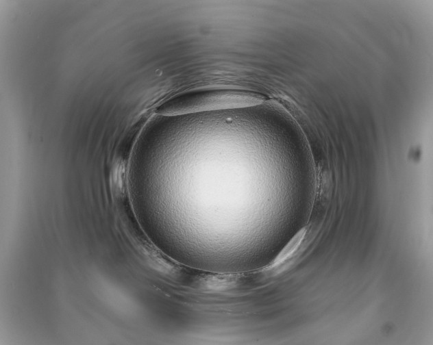 X0000090990094200708091528