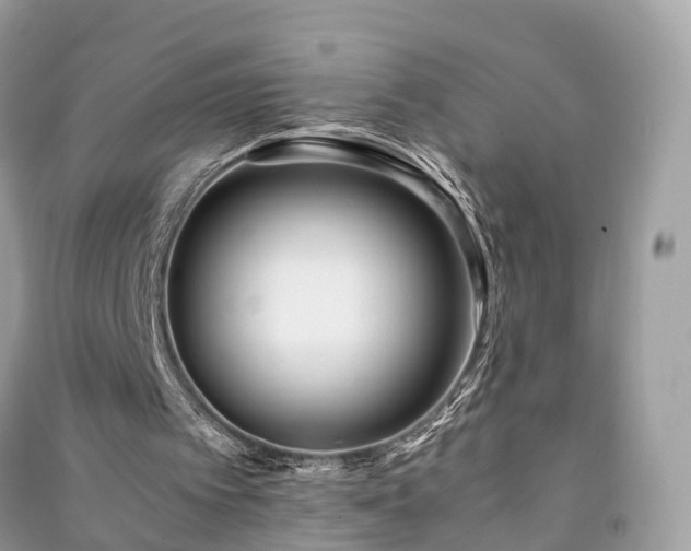 X0000090990097200708091527