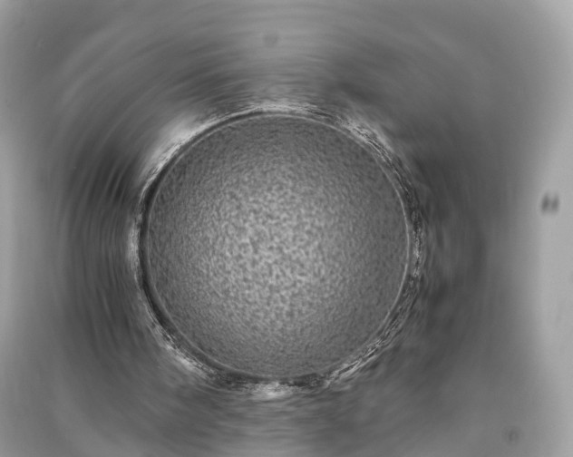 X0000090990098200708091527