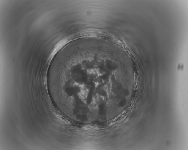 X0000090990099200708091527