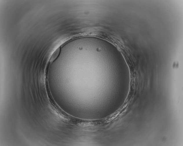 X0000090990100200708091527