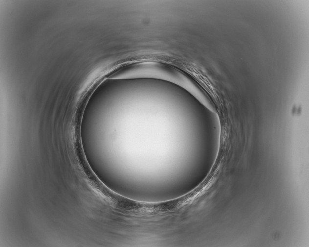 X0000090990101200708091527