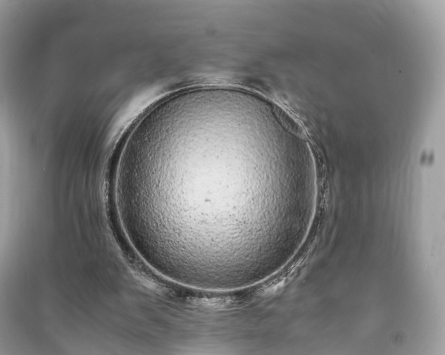 X0000090990103200708091527