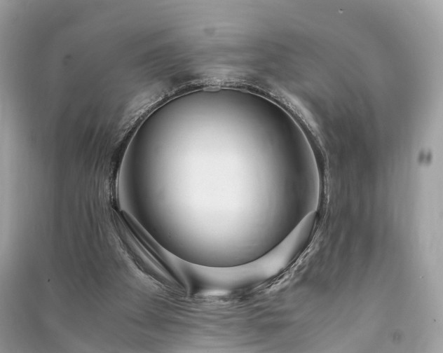 X0000090990105200708091527