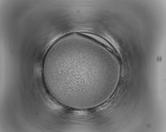 X0000090990107200708091527