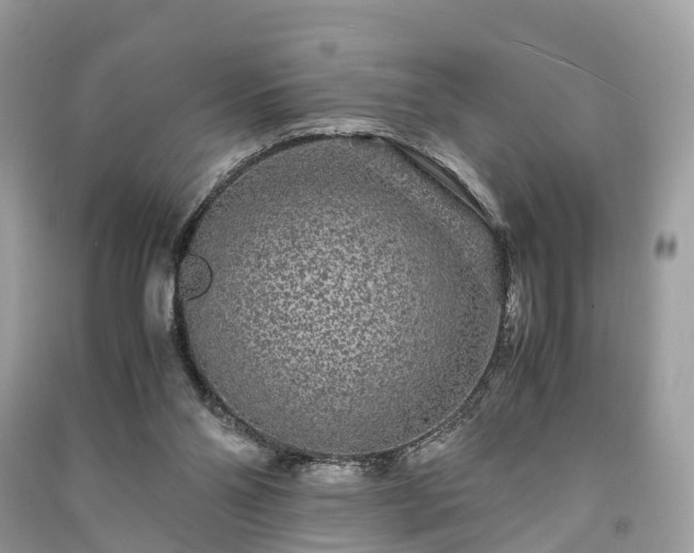 X0000090990110200708091527