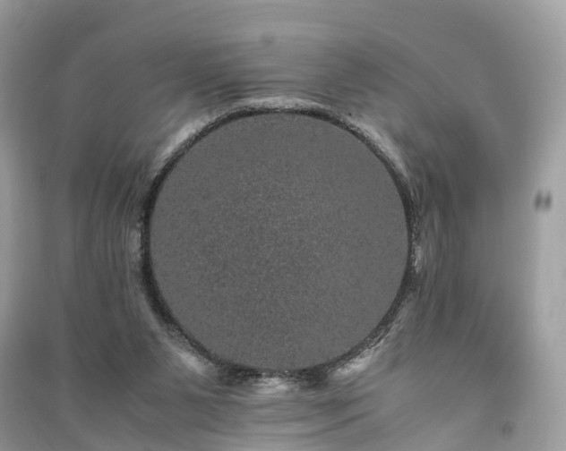 X0000090990111200708091527