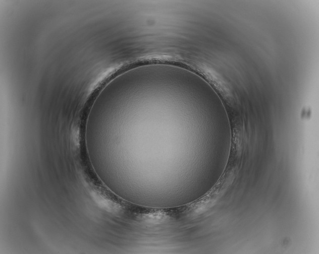 X0000090990112200708091527