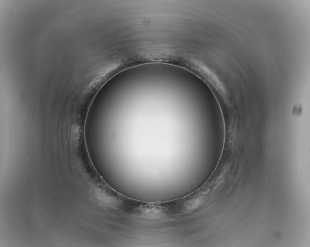 X0000090990113200708091527