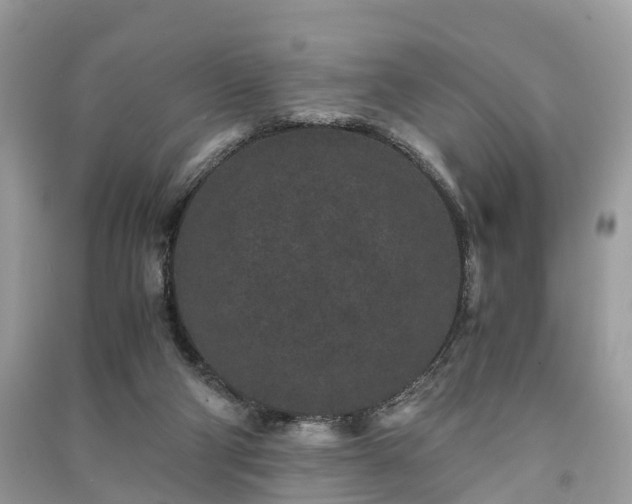 X0000090990114200708091527