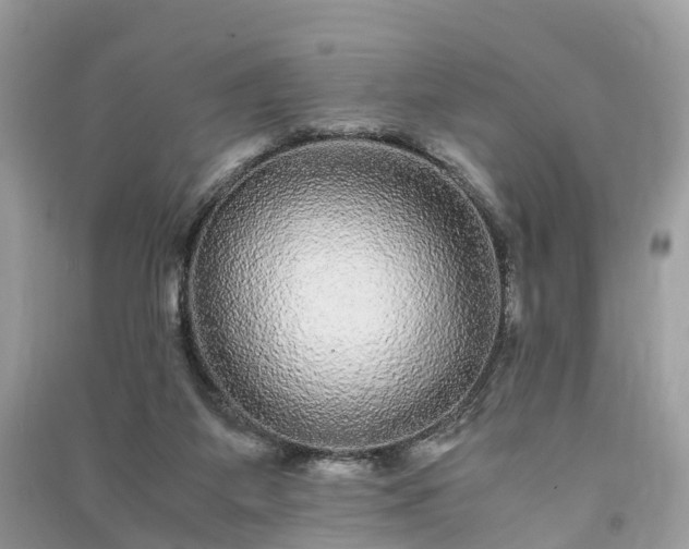 X0000090990115200708091527