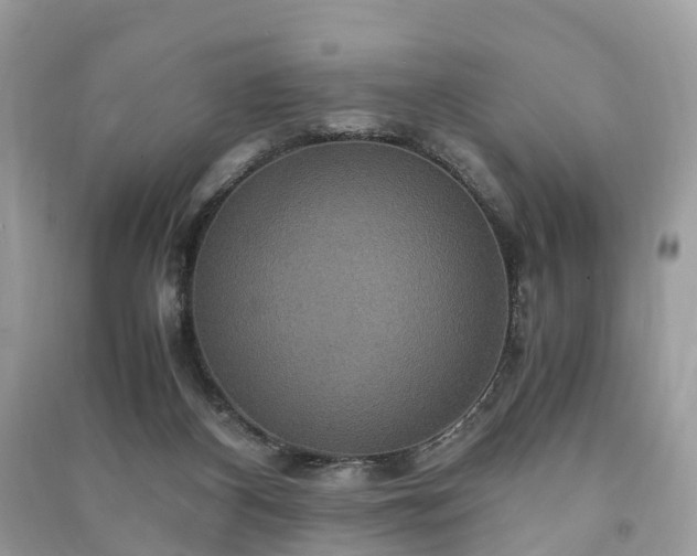 X0000090990116200708091527