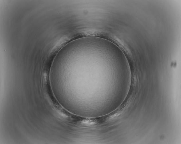 X0000090990117200708091527